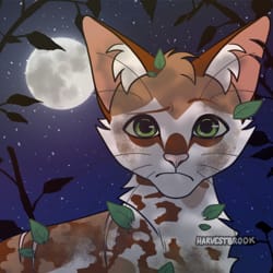 warrior cats name generator - New York, New York, United States, Professional Profile