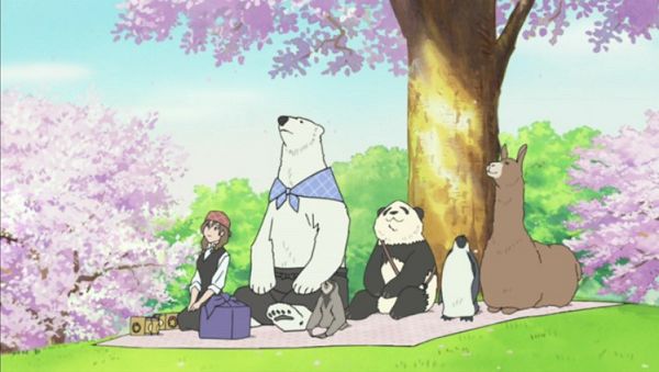 Shirokuma Café - 50 (End) and Series Review - Lost in Anime