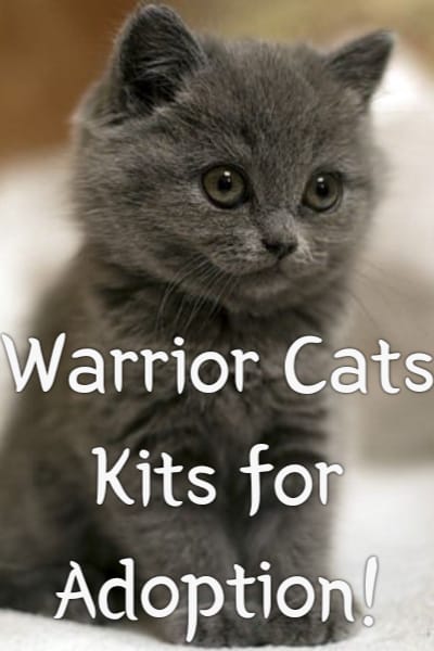 WARRIOR CATS ADOPTS 2/2