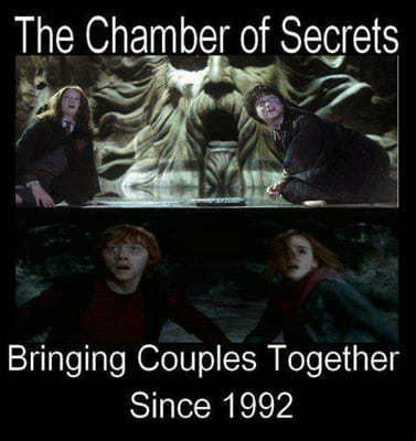 Harry Potter and the Chamber of 27 Harry Potter Memes