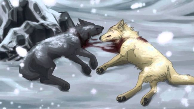 sad anime wolf drawings