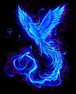 Blue Phoenix (adopted) | Mythical Creature Adoption | Quotev