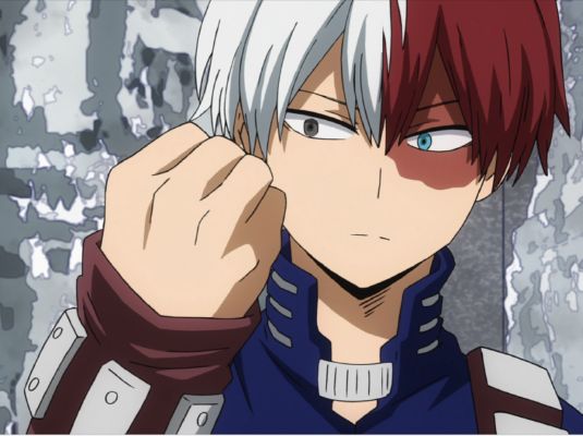 QUIZ: Which Todoroki Sibling From My Hero Academia Are You Most Like? -  Crunchyroll News