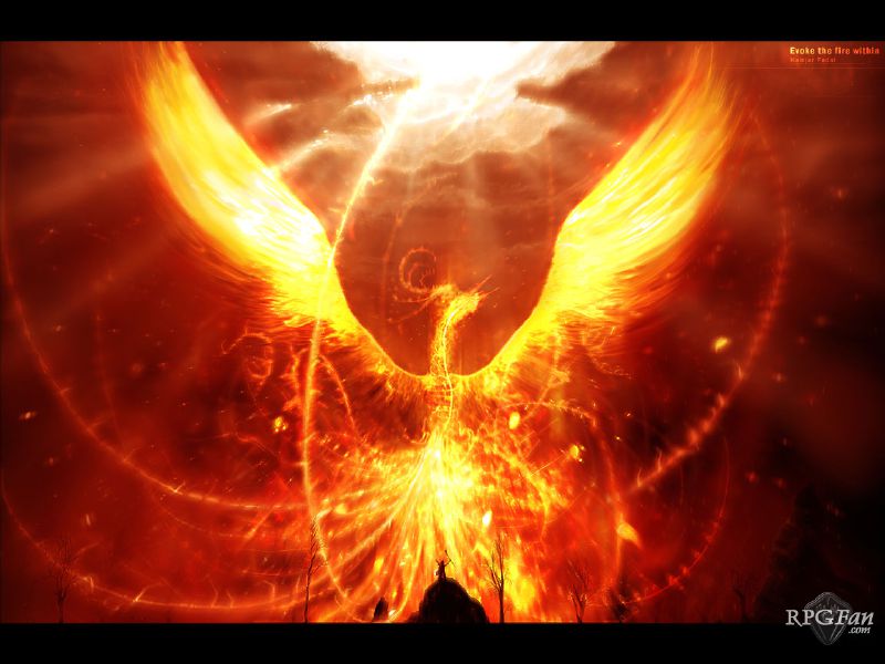 Crazy Phoenix | Quotev