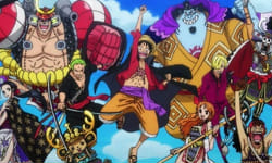 what straw hat member are you most like? (one piece quiz no brook)