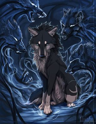Anime Black Wolf Wallpapers  Wallpaper Cave