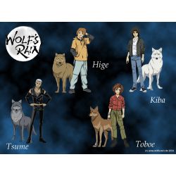 Wolfsrain Anime GIF - Wolfsrain Wolf Wolfs - Discover & Share GIFs