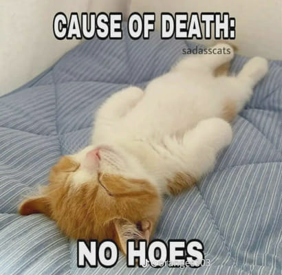 Whos Your Genshin Impact Girlfriend Quiz Quotev