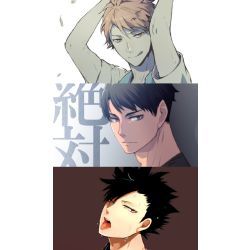 Fighter, Haikyuu! various x female! reader