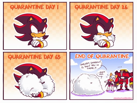 Shadow's fur in Quarantine, Sonic Meme Squad (LIMIT REACHED)