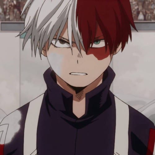 Are you considered attractive to Todoroki? - Quiz | Quotev