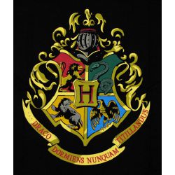 Hogwarts House Sorting Quiz - Quiz