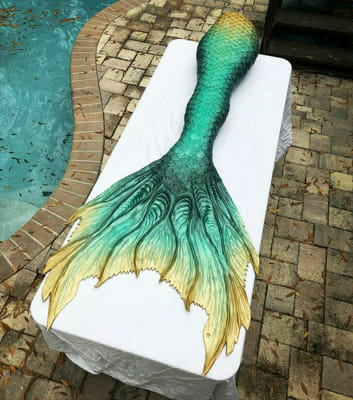 Create your mermaid life to find out your magical gift! - Quiz | Quotev