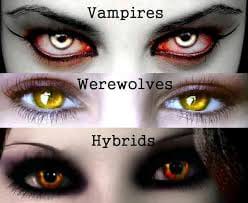 wolf eyes color