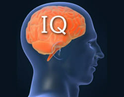 The Hardest IQ test ever - Test | Quotev