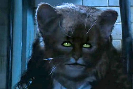 harry potter and the chamber of secrets hermione cat