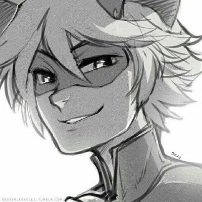 Adrien/Cat Noir as an ANIME character(Fanart is NOT mine