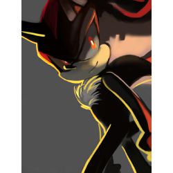 16.) (y/n) is kidnapped! ; Dark Sonic arrives?!, The Only Memory.  (Shadow the Hedgehog x Reader)