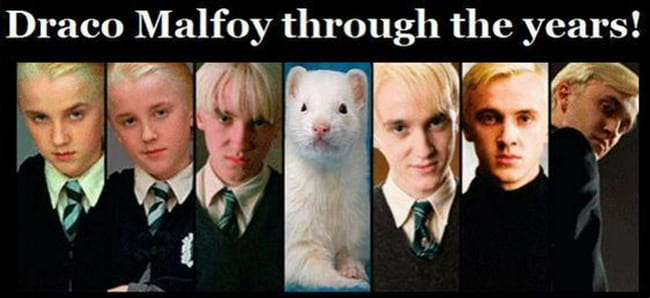 20 Harry Potter & Draco Malfoy Funny Memes