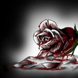 The Bleeding Rose | Quotev