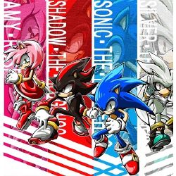 Sonic Shadow SIlver Quiz