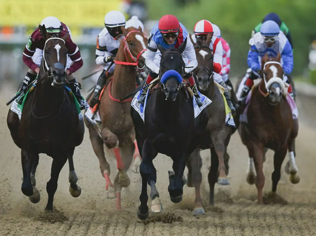 How much do you know about horse racing? - Test | Quotev