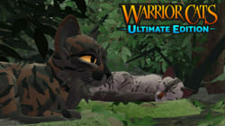 Cat Warrior Chronicles: Ultimate Warrior Cats Quiz - ProProfs Quiz