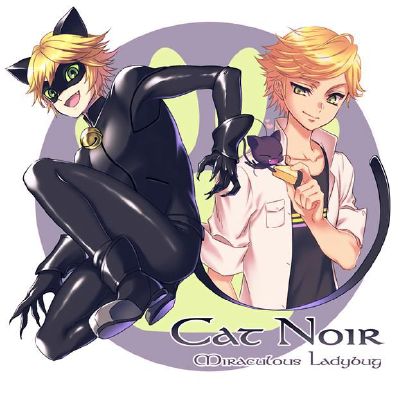Adrien/Cat Noir as an ANIME character(Fanart is NOT mine..)