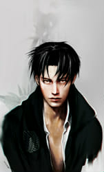 What does Levi Ackerman think of you? - Quiz