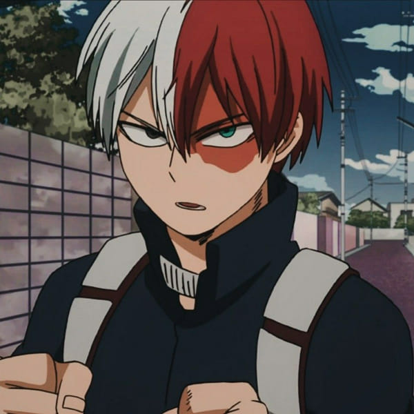 Does Todoroki have feelings for you? - Quiz