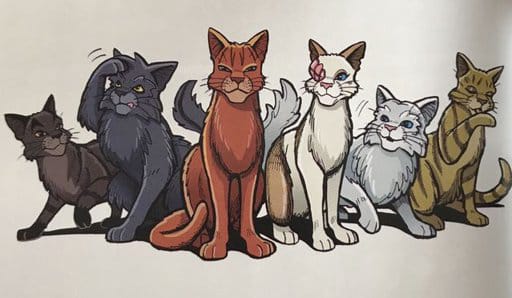 Warrior Cats Test Test