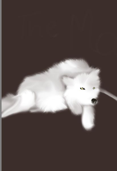 wolf-knowledge-quiz-test-quotev
