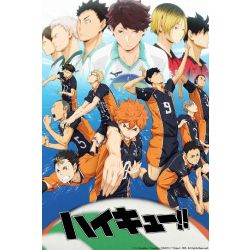 Chapter 9: Vs Umbrella, Haikyuu! Season 2 (Reader Insert)