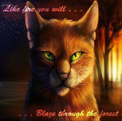 Firestar  Warrior Cats