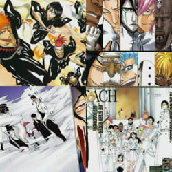 Bleach Quizzes | Quotev
