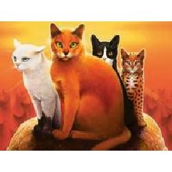 Which Warrior Cat Leader Are You?  Warrior cat, Warrior, Warrior cats