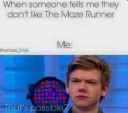 Maze Runner memes. - Survey | Quotev