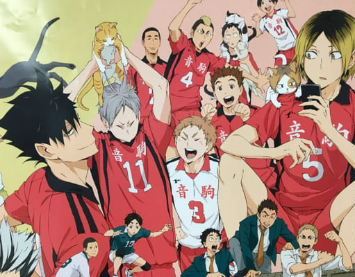 The haikyuu kin test that's scary accurate - Quiz | Quotev