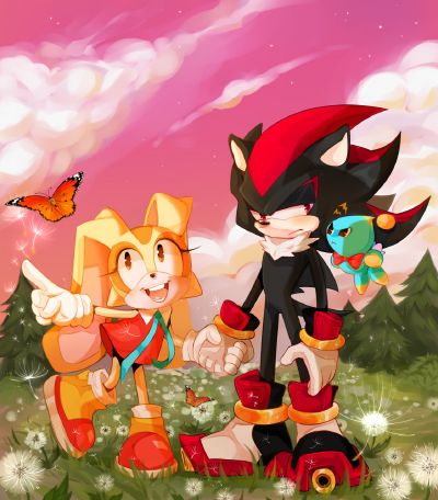 cream the rabbit and shadow the hedgehog