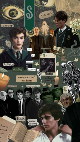 Who is your Slytherin boyfriend? - Quiz | Quotev