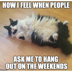 How lazy are you? - Quiz | Quotev