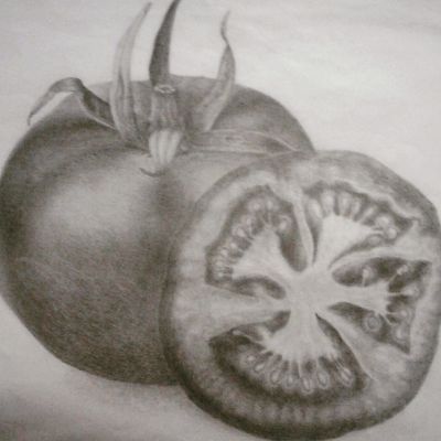 Drawing a tomato with Albrecht Dürer Magnus