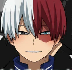 Write A Letter To Todoroki Shoto