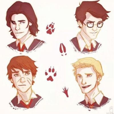 Write a Letter to James Potter - Quiz | Quotev