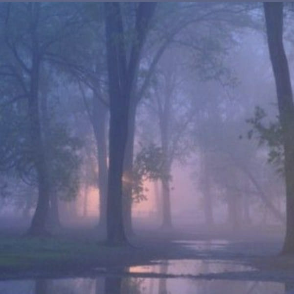 which mythical creature watches over you Quiz Quotev