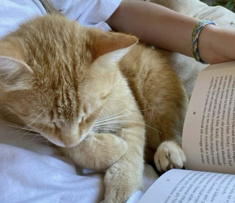 What’s your Harry Potter house? - Quiz | Quotev