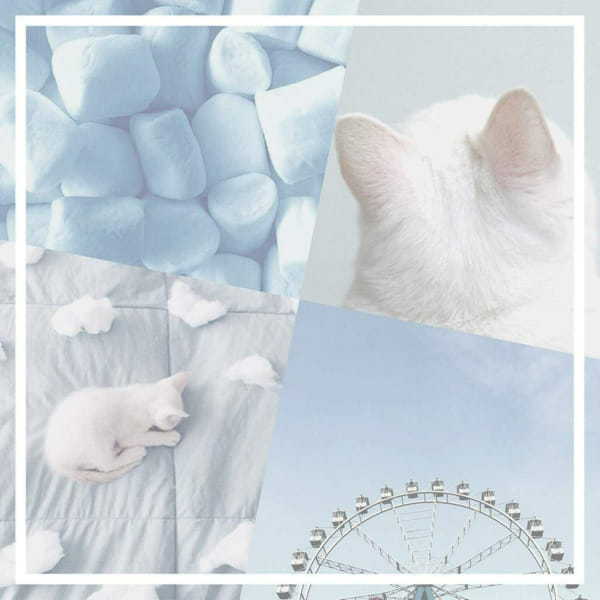 Эстетичные обои с котиком