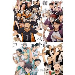 Fighter, Haikyuu! various x female! reader