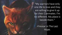 Which Warrior Cats Villain are you? - Quiz