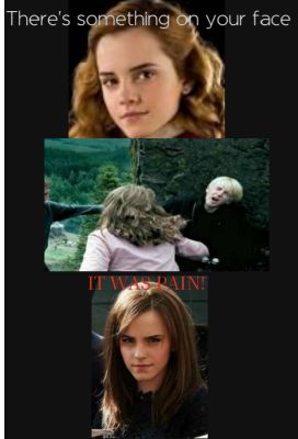 Hermione and Draco Meme